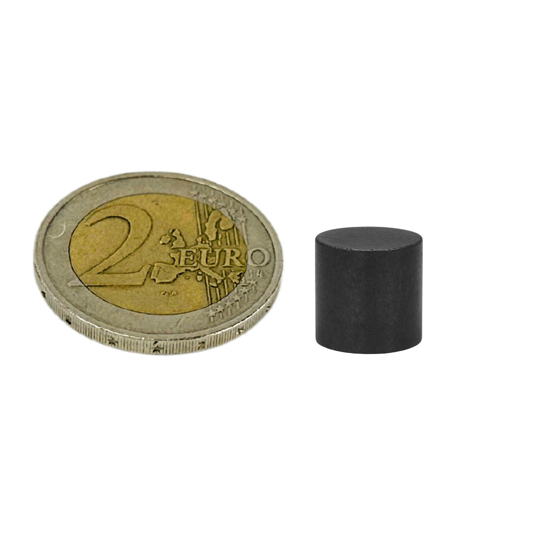 Ferrit Scheibenmagnet 10x10mm Y35 Hartferrit axial magnetisiert starke Magnete