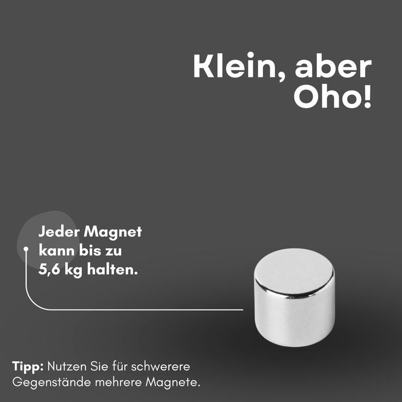 Neodym Magnet Ø 12mm x 10mm - Starker Scheibenmagnet - N42 Supermagnet - Hohe Haftkraft bis 5,6kg