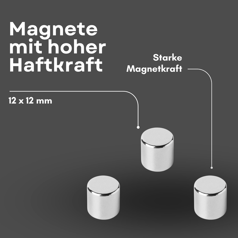 Neodym Magnet Ø 12mm x 12mm - Starker Scheibenmagnet - N42 Supermagnet - Hohe Haftkraft bis 6kg