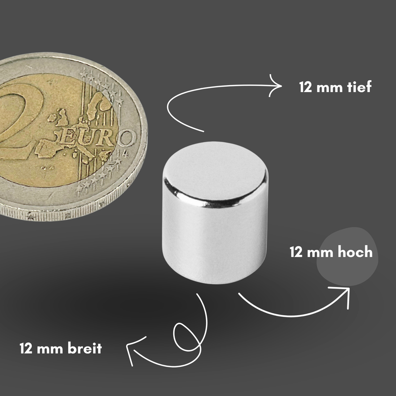 Neodym Magnet Ø 12mm x 12mm - Starker Scheibenmagnet - N42 Supermagnet - Hohe Haftkraft bis 6kg