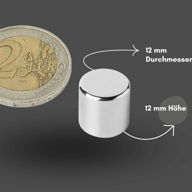 Axial magnetisierter Scheibenmagnet 12x12 mm N42 – zuverlässige Leistung