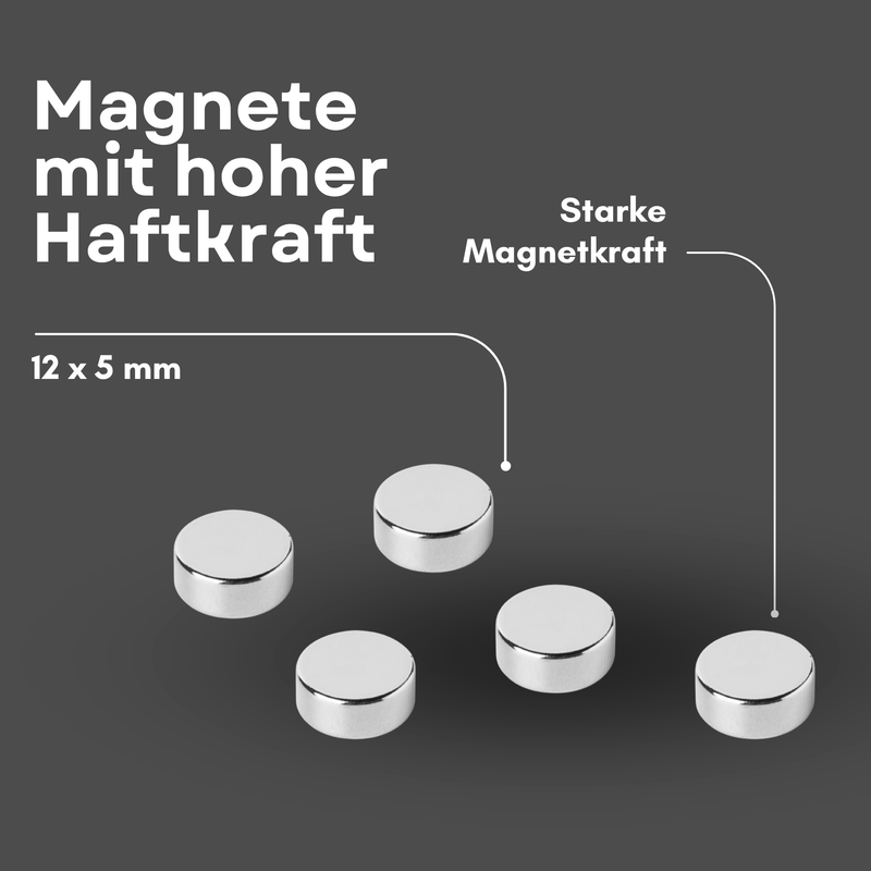 Magnete al neodimio Ø 12mm x 5mm - Magnete a disco potente - Super magnete N42 - Elevata forza di tenuta fino a 4kg