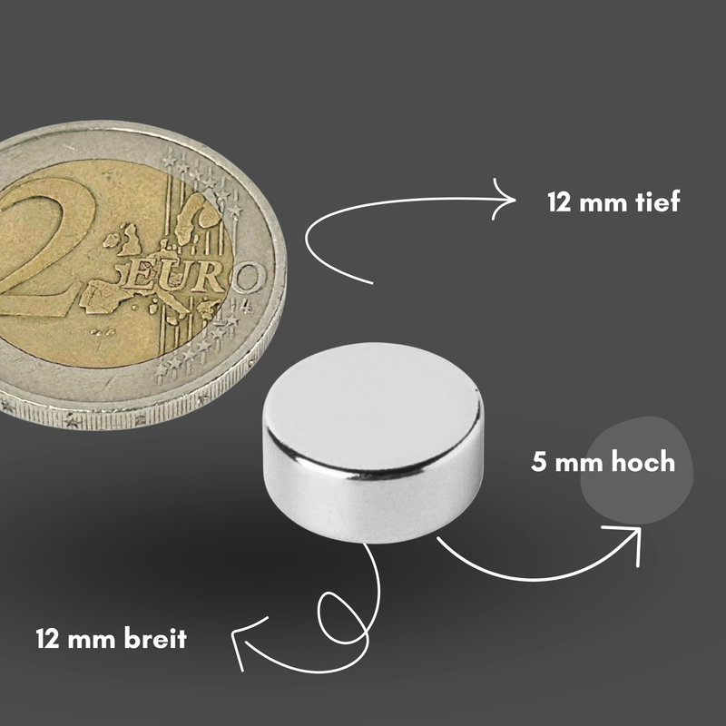 Magnete al neodimio Ø 12mm x 5mm - Magnete a disco potente - Super magnete N42 - Elevata forza di tenuta fino a 4kg
