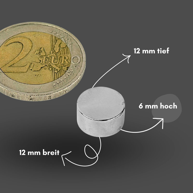 Neodym Magnet Ø 12mm x 6mm - Starker Scheibenmagnet - N38 Supermagnet - Hohe Haftkraft bis 2kg