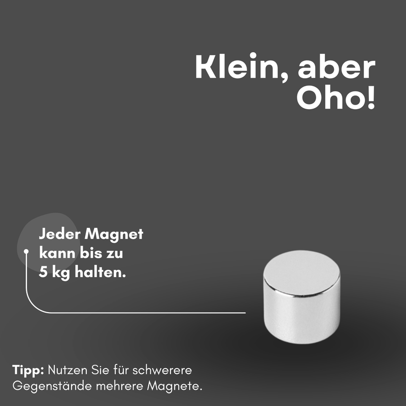 Neodym Magnet Ø 12mm x 8mm - Starker Scheibenmagnet - N42 Supermagnet - Hohe Haftkraft bis 5kg