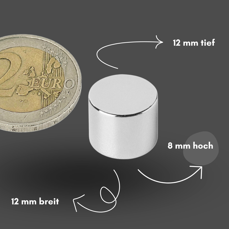 Neodym Magnet Ø 12mm x 8mm - Starker Scheibenmagnet - N42 Supermagnet - Hohe Haftkraft bis 5kg