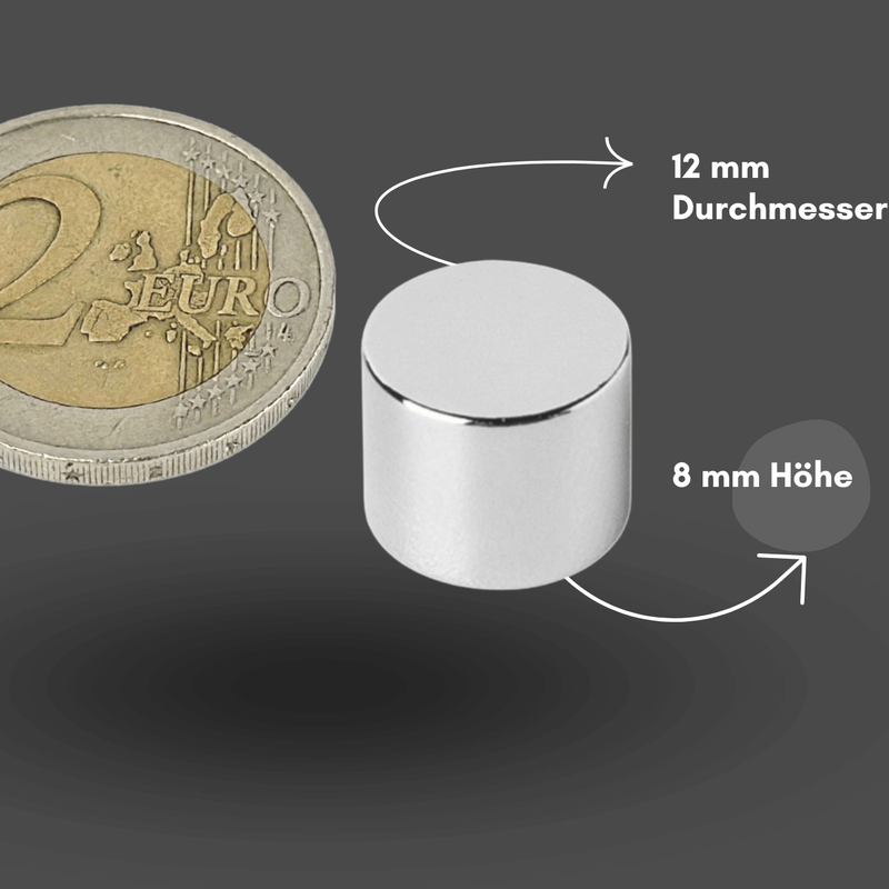 Axial magnetisierter Scheibenmagnet 12x8 mm N42 – zuverlässige Leistung