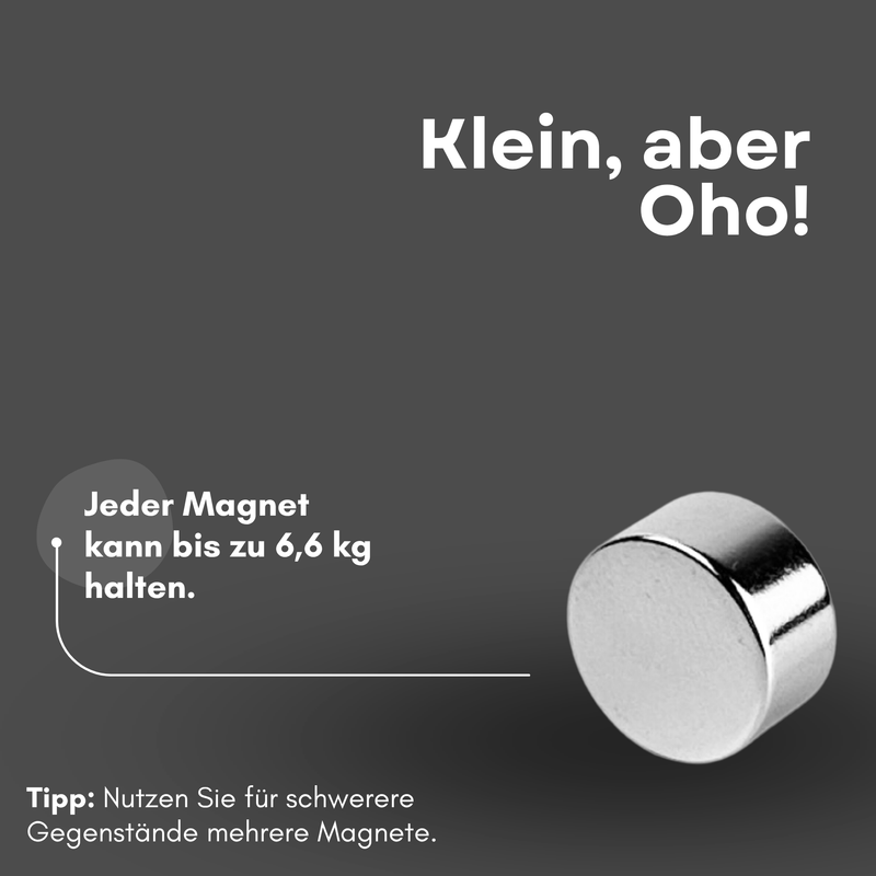 Magnete al neodimio Ø 15mm x 8mm - Magnete a disco potente - Super magnete N38 - Elevata forza di tenuta fino a 6,6 kg