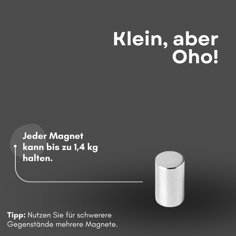 Neodym Magnet Ø 6mm x 10mm - Starker Scheibenmagnet - N42 Supermagnet - Hohe Haftkraft bis 1,4kg