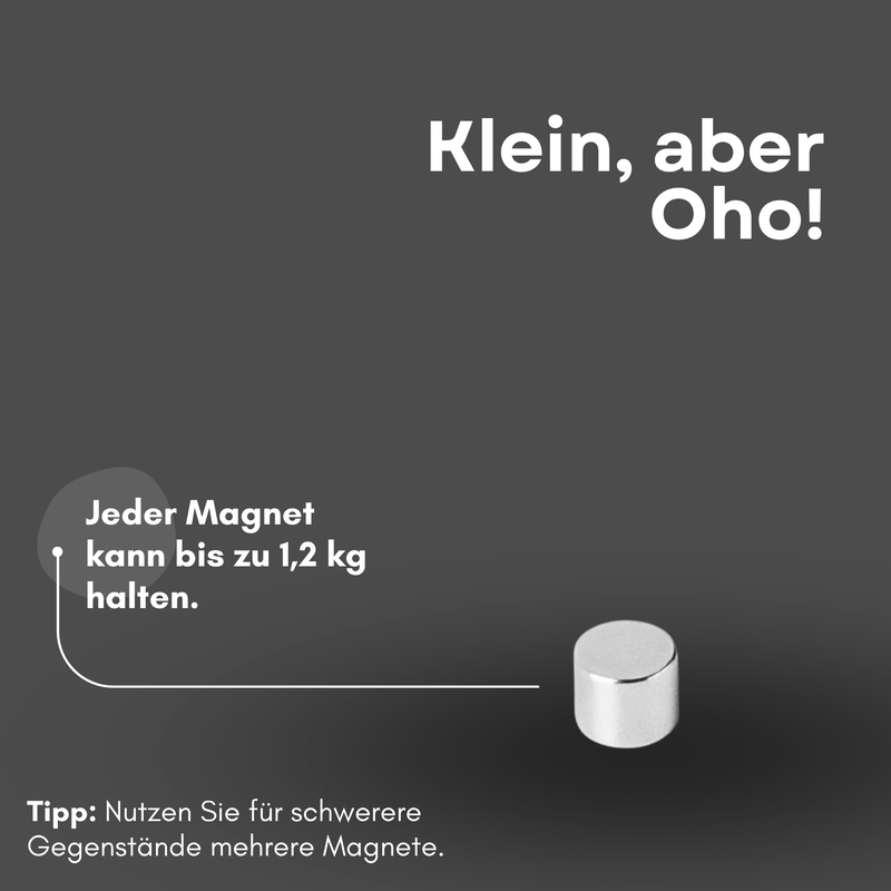 Neodym Magnet Ø 6mm x 5mm - Starker Scheibenmagnet - N42 Supermagnet - Hohe Haftkraft bis 1,2kg