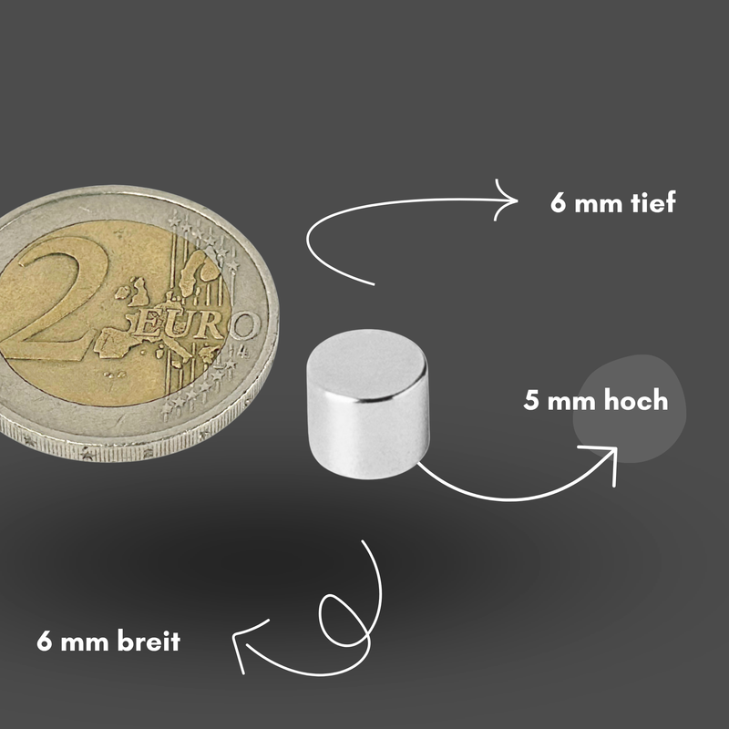 Neodym Magnet Ø 6mm x 5mm - Starker Scheibenmagnet - N42 Supermagnet - Hohe Haftkraft bis 1,2kg