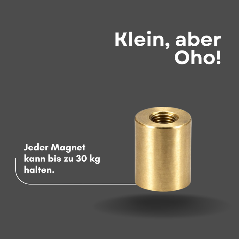 Neodym Magnet Stabgreifer Ø 20 x 25 mm M6 Innengewinde – Messinggehäuse hohe Haftkraft 30 kg