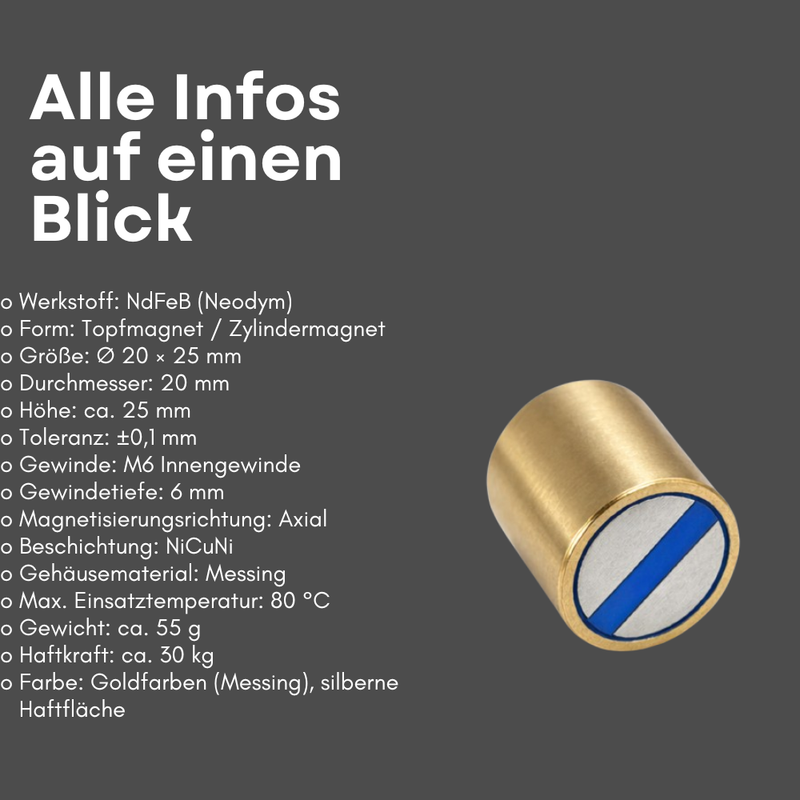 Neodym Magnet Stabgreifer Ø 20 x 25 mm M6 Innengewinde – Messinggehäuse hohe Haftkraft 30 kg
