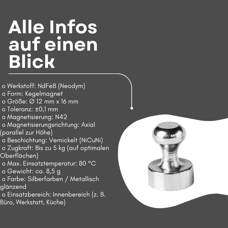 Neodym Kegelmagnet 12x16 mm Pinnwand Magnet mit 5 kg Haftkraft