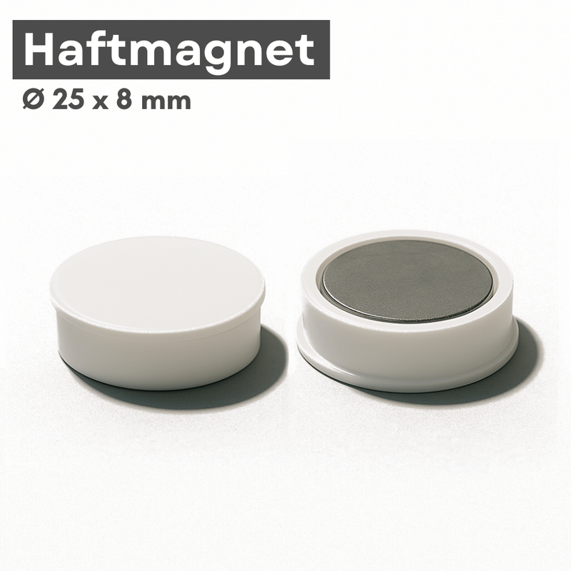 Runder weißer Haftmagnet 24x8mm auf Magnetboard im Büro verwendet