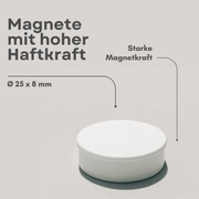 Detailansicht: starker weißer Büromagnet 24mm rund auf Metallfläche