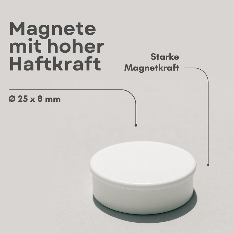 Detailansicht: starker weißer Büromagnet 24mm rund auf Metallfläche